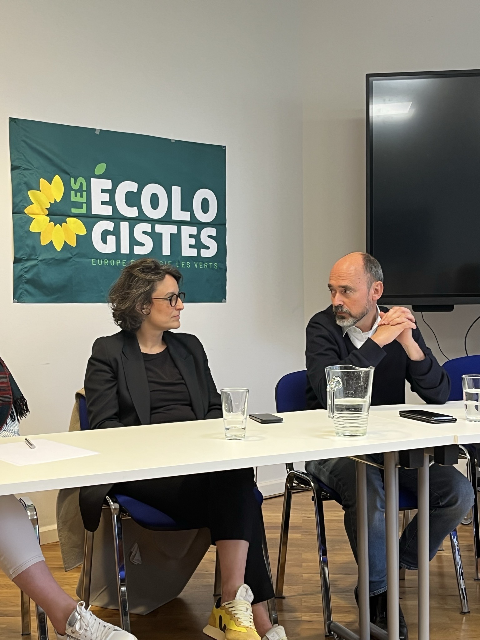 Mélanie Vogel et Stephan Maigné devant le drapeau Les écologistes